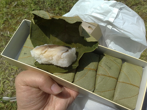 Rectangular Sushi - Kakinoha Zushi 